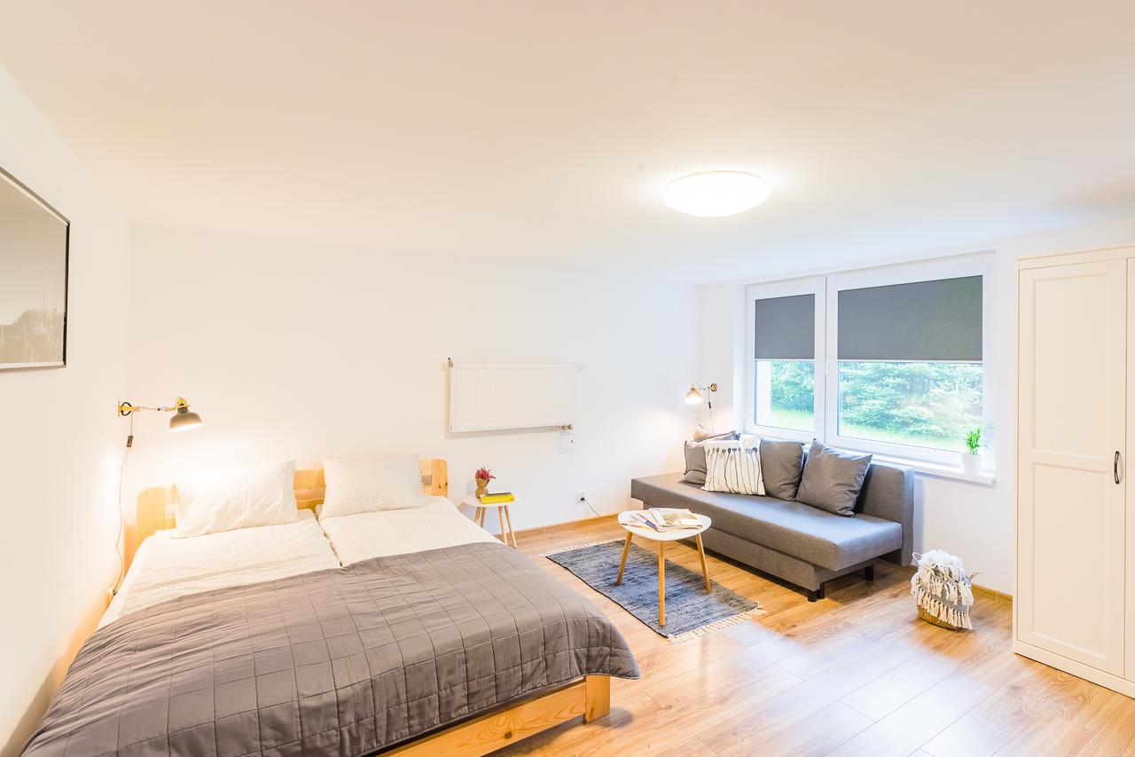 Apartament Salmopolska5 シュチルク エクステリア 写真
